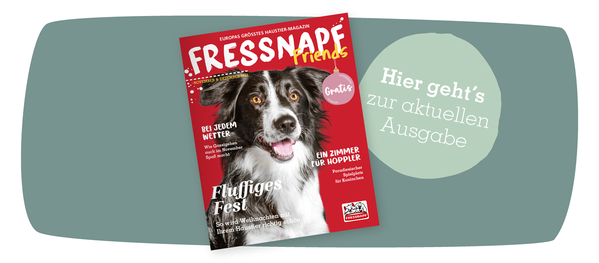 Teaser Magazin November Teaser Magazin November