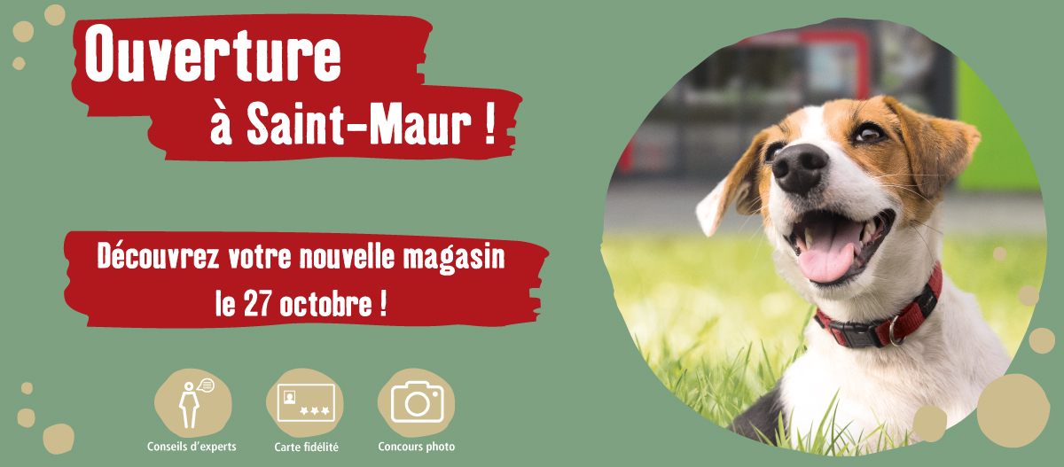 banniere-saint_maur banner opening saint maur 27.10