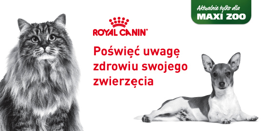 6er_POLISH Reklama Royal Canin z długowłosym kotem i małym psem, zwracająca uwagę na zdrowie zwierząt, tylko w MAXI ZOO