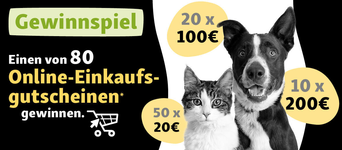 Gewinnspiel Newsletter zur Back Week Gewinnspiel Newsletter zur Back Week