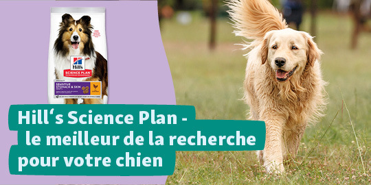 Animalerie en ligne : produits pour animaux  MAXI ZOO