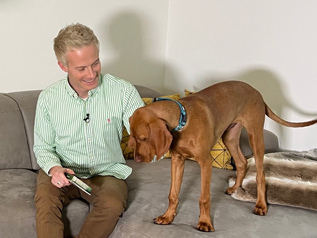 Mann mit grün-weiß gestreiftem Hemd sitzt auf grauem Sofa und hält eine Fernbedienung, großer brauner Hund mit blauem Halsband steht neben ihm.