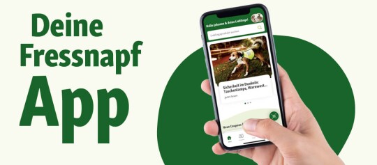 Fressnapf Magazin Welt Banner mit Hund und Wellensittich auf lila Hintergrund