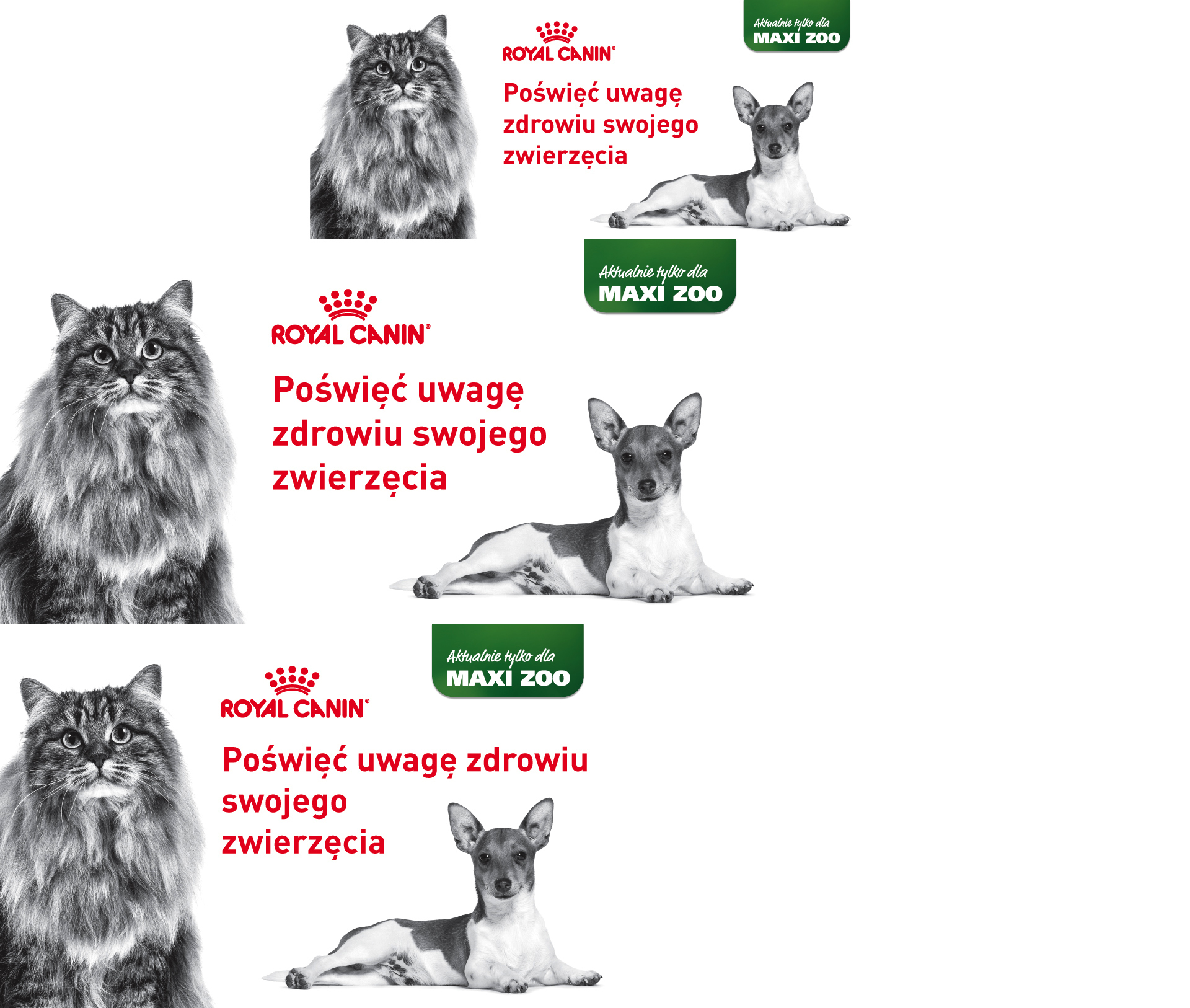 Czarno-białe zdjęcie długowłosego kota i małego leżącego psa z logo Royal Canin i napisem „Poświęć uwagę zdrowiu swojego zwierzęcia”, dostępne tylko w MAXI ZOO.
