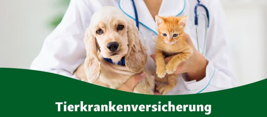 Tierkrankenversicherung