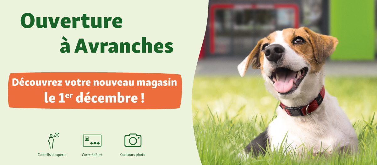 openings-online_banner-Avranches Opening FR 01.12 Avranches