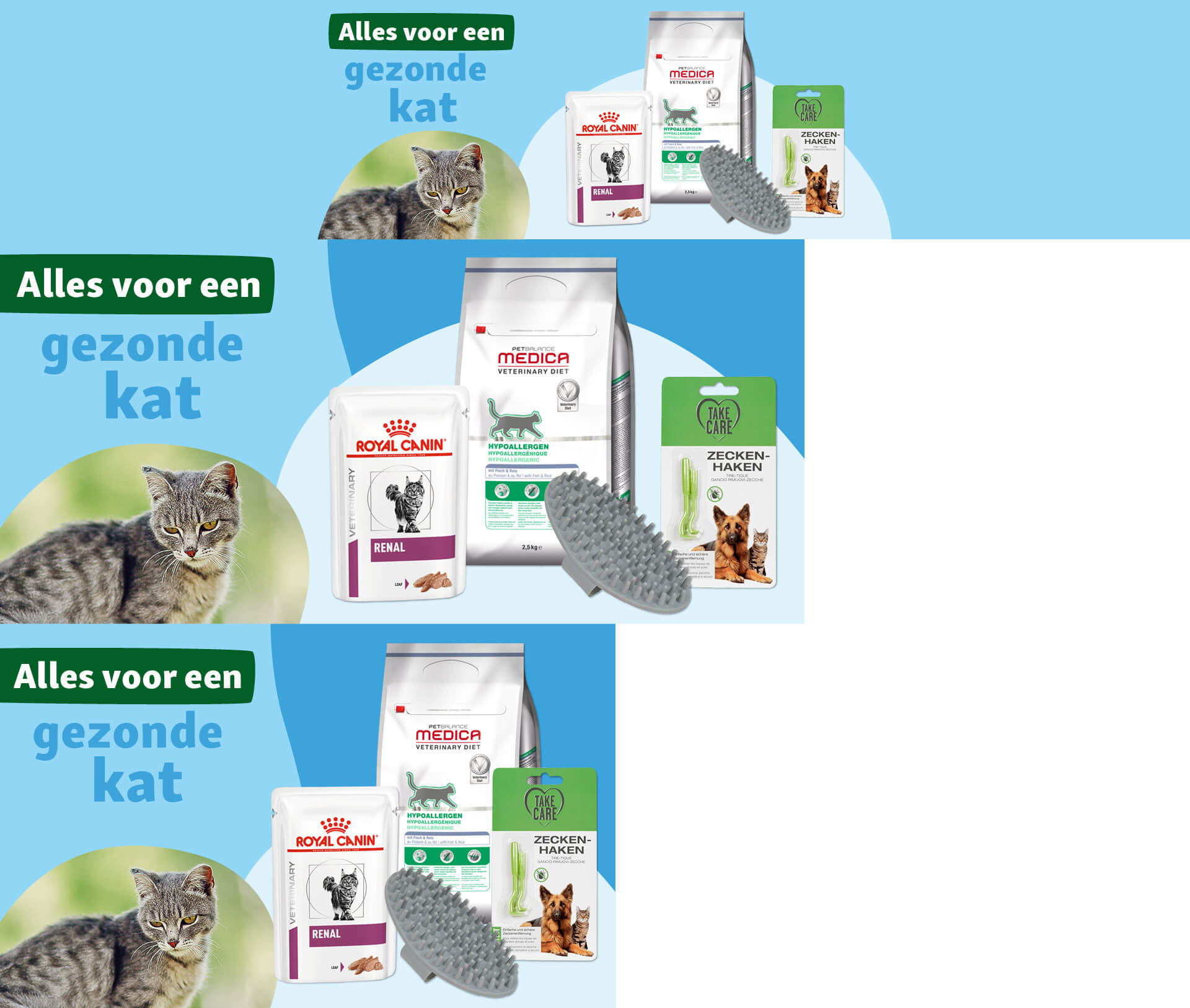 Gezonde kat met Royal Canin nierdieet, hypoallergeen kattenvoer, tekenhaken en kattenborstel voor optimale kattenverzorging
