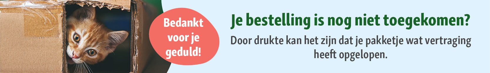 Nieuwsgierige oranje kat kijkt uit een gescheurde kartonnen doos, naast tekst over mogelijke vertraging van de levering en dank voor je geduld.