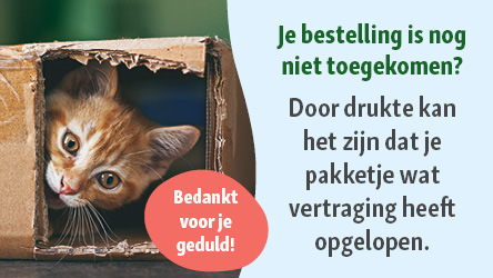 Schattige oranje kitten die uit een gescheurde kartonnen doos kijkt, naast een bericht over vertraging van de levering en dank voor je geduld.