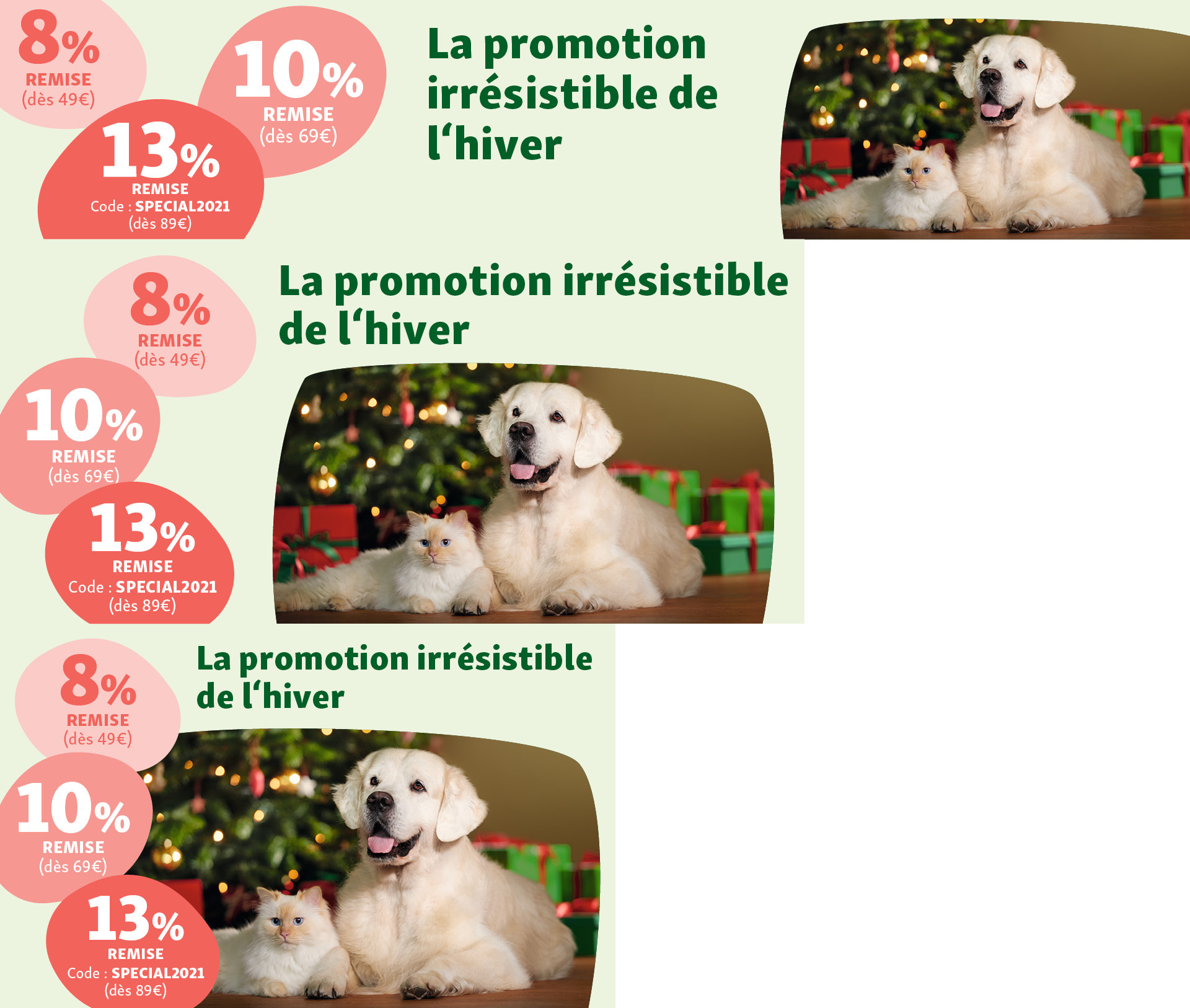 La promotion irrésistible de l'hiver La promotion irrésistible de l'hiver