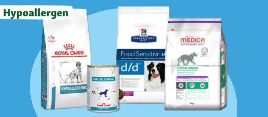 Hypoallergenes Hundefutter für Alleriker