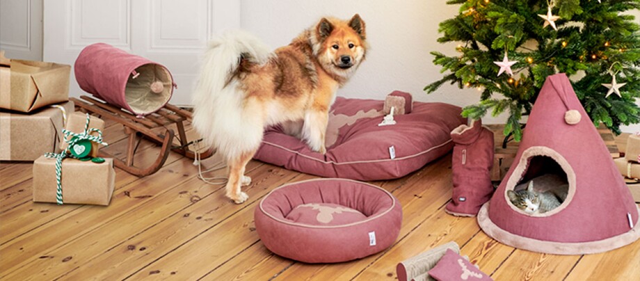 MZ_Blog_WinterCollection_1200x527px