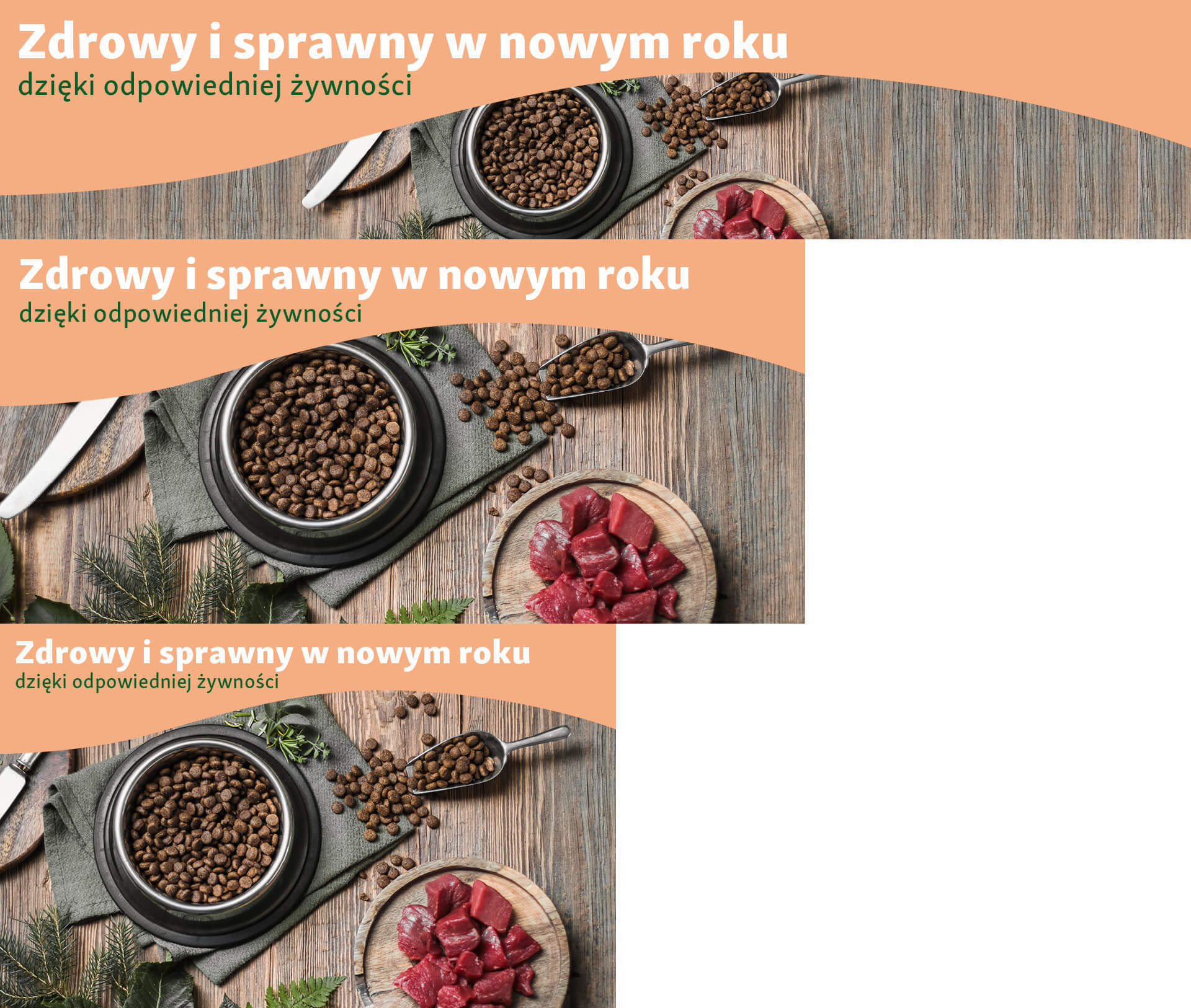 PL_KW1_Healthy&Fit_DOGCATFOOD_SG_OS.PLP_2