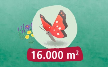 DE_KW1_TE2021_TS_OS.480x3003 Insektenfreundliches Land von Tierisch Engagiert