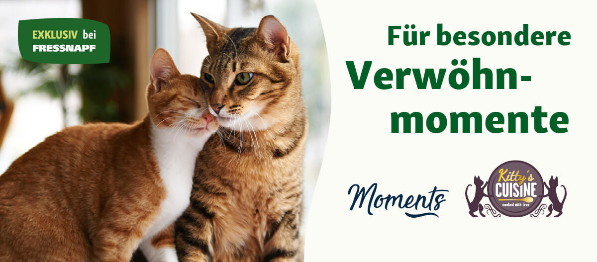 DE_KW3_Valentinstag_SG_OS.Full_1 Für besondere Verwöhn-Momente - Moments und Kittys Cuisine