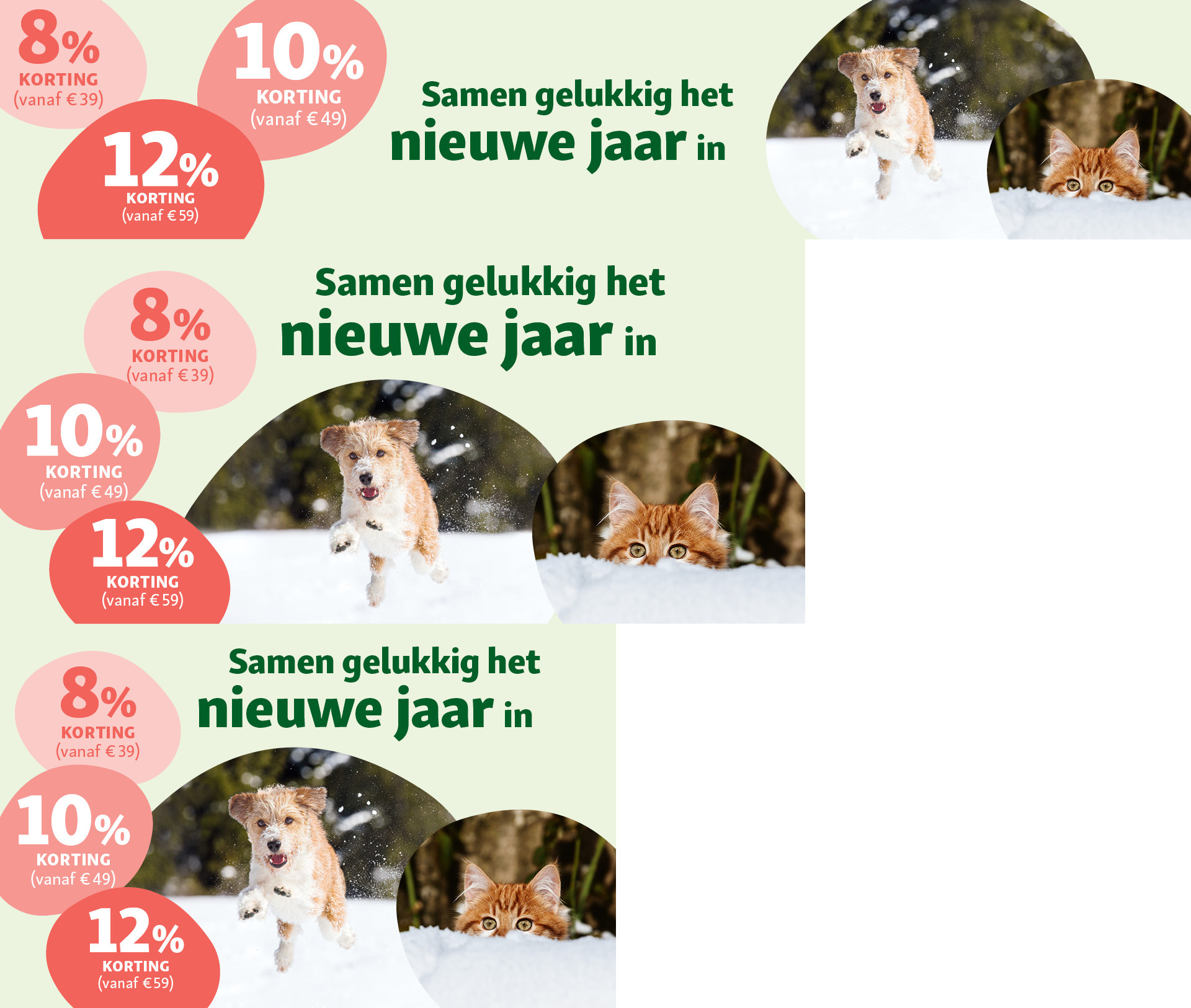 Nieuwjaarsaanbieding met 8%, 10% en 12% korting, blije hond en nieuwsgierige kat in de sneeuw