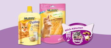 Freiwillige verteilen Lebensmittelspenden vor einem Gebäude, während ein Kameramann die Szene filmt.