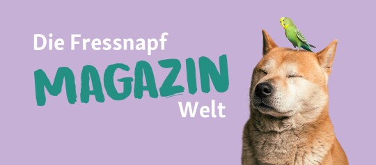 Fressnapf Magazin Welt Banner mit ruhigem Hund und Wellensittich auf dem Kopf vor lila Hintergrund