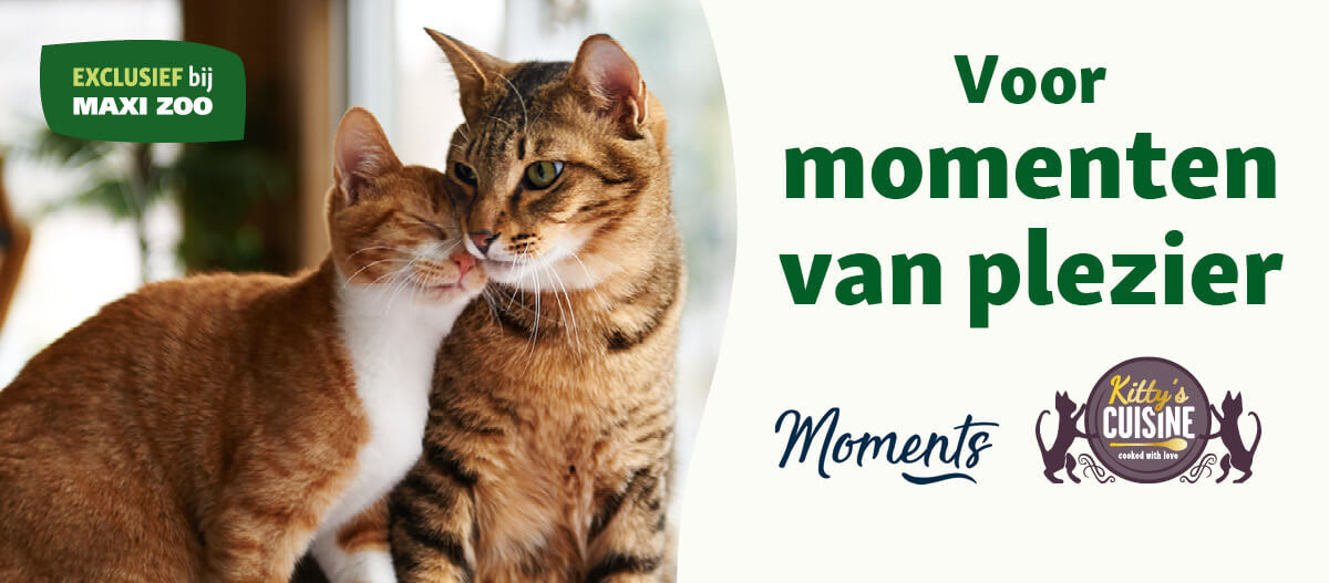 NE_KW3_Valentinstag_SG_OS.Full_1 Twee katten knuffelen, reclame voor Kitty's Cuisine kattenvoer exclusief bij Maxi Zoo, voor momenten van plezier.