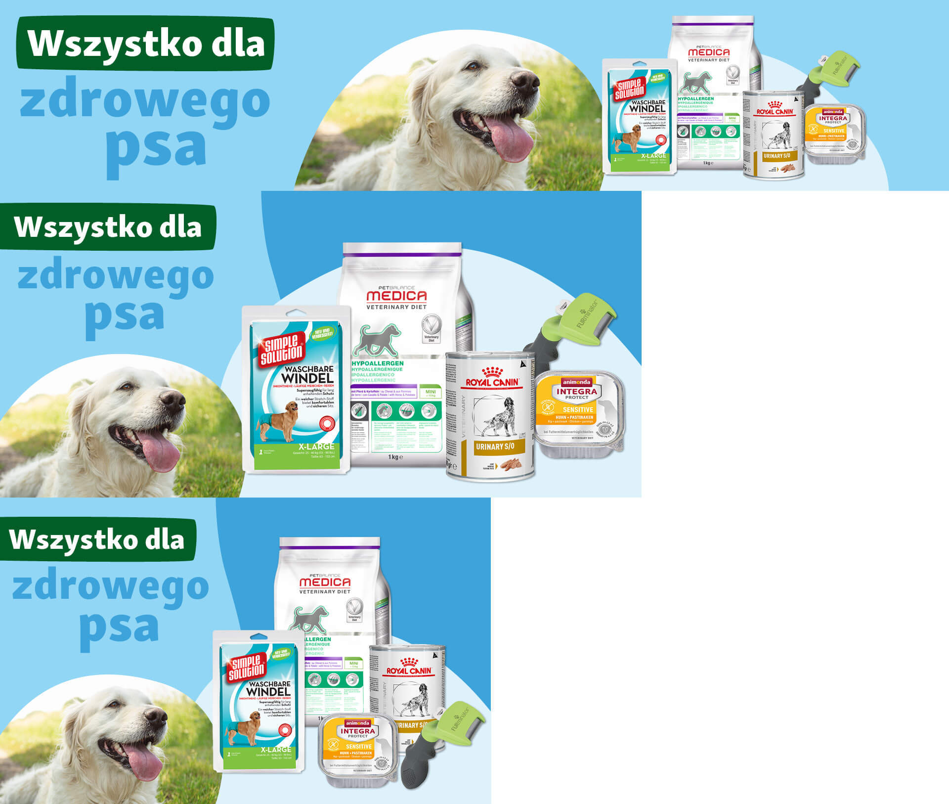 Szczęśliwy golden retriever z różnymi produktami zdrowotnymi dla psa, takimi jak hipoalergiczna karma sucha, karma mokra, wielorazowe pieluchy dla psów i szczotka do pielęgnacji sierści dla zdrowego psa.