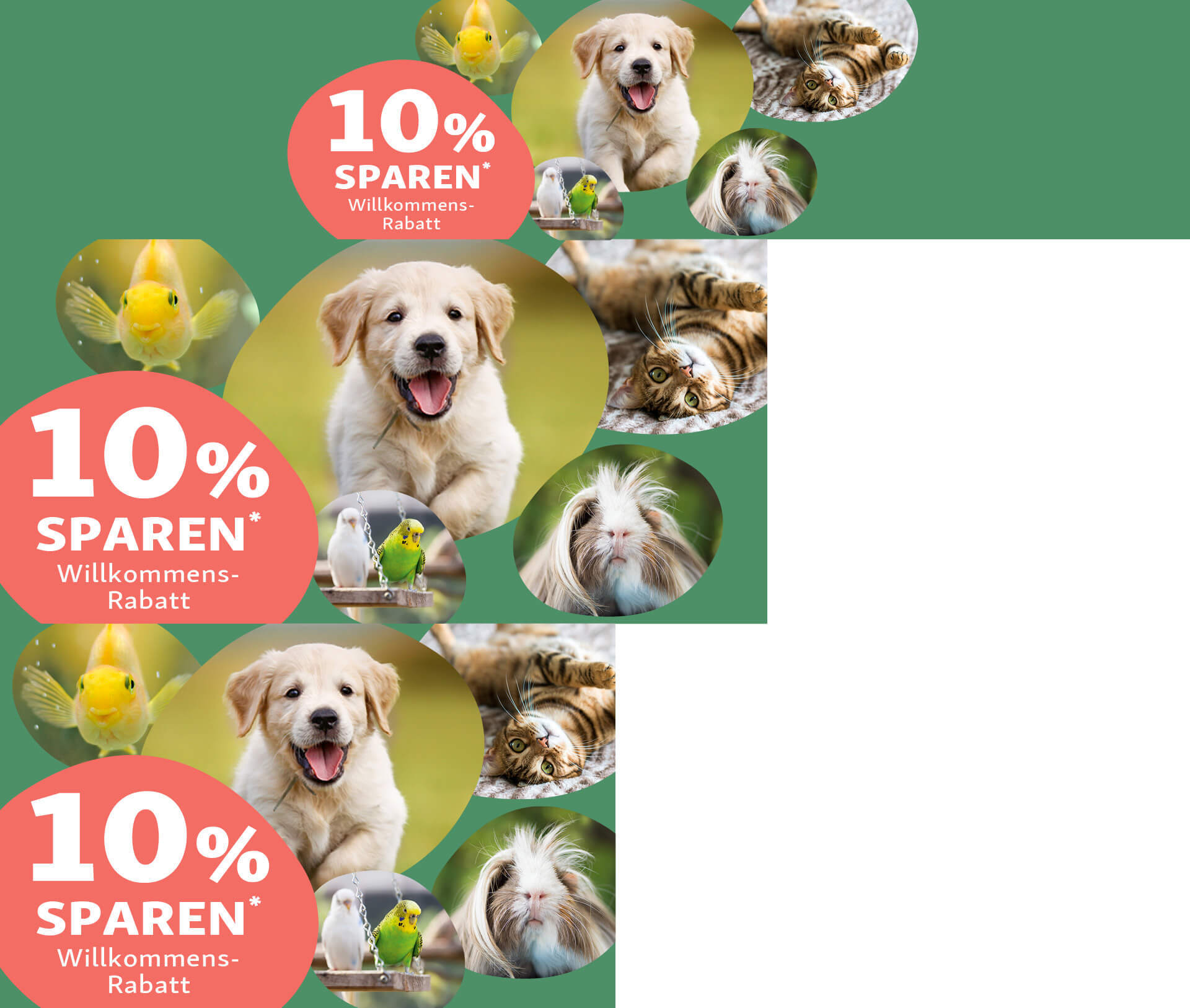 DE_KW3_WelcomeStrecke_Landingpage_AN_OS-62026a7b0e8a9 10% sparen