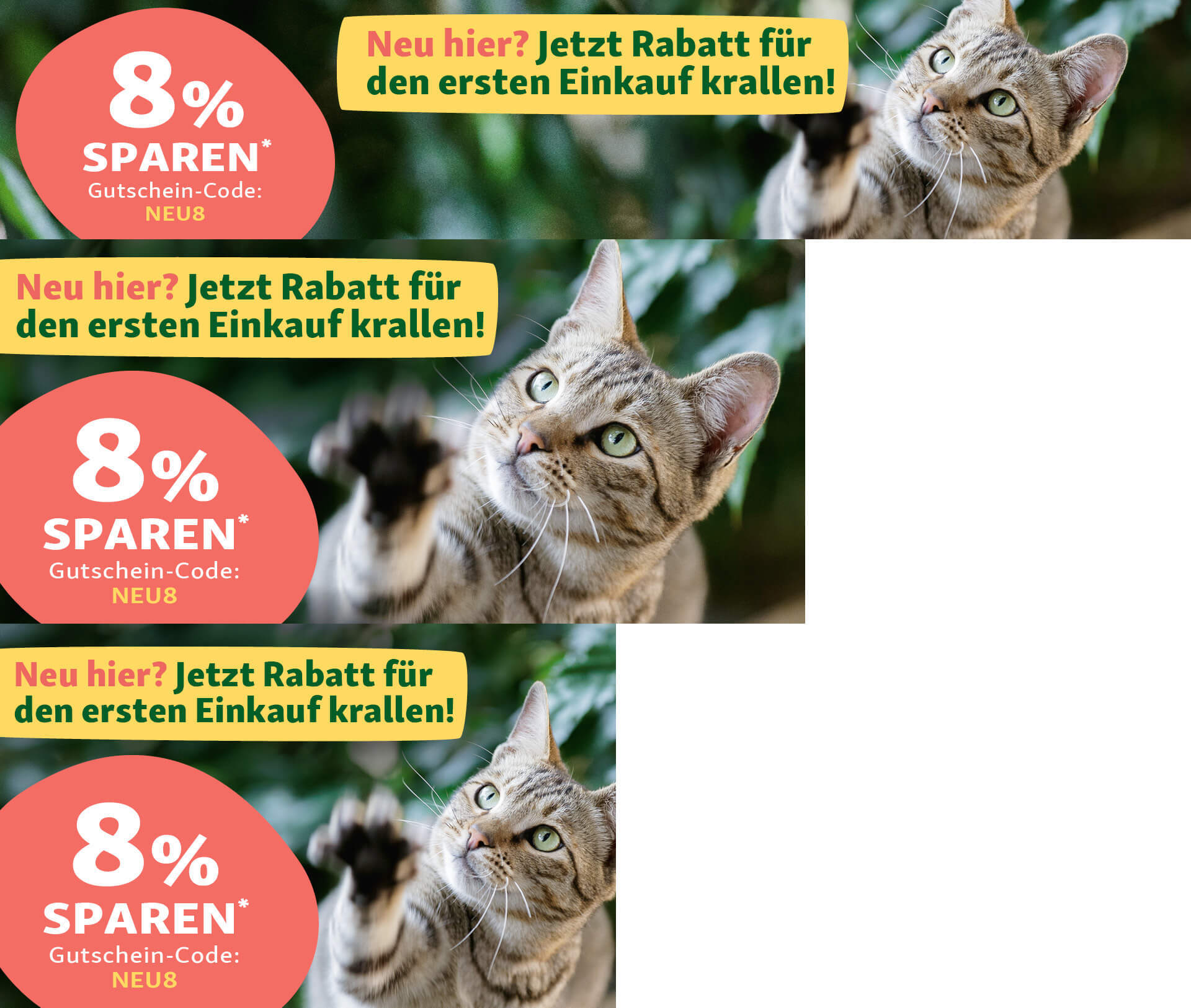 DE_KW6_NewCustomerSpring_SG_OS.PLP_2 Neu hier? Jetzt beim ersten Einkauf sparen