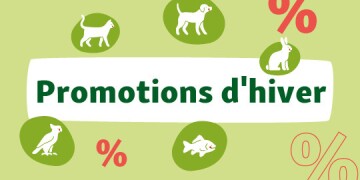 Promotions d'hiver pour animaux avec icônes de chat, chien, lapin, oiseau et poisson sur fond vert