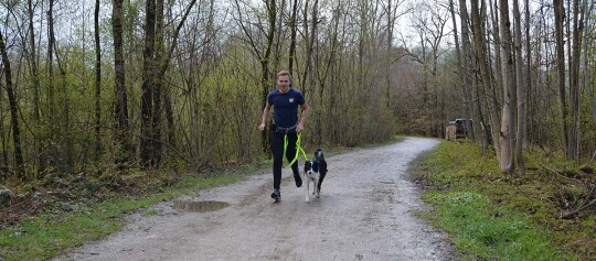 Mann joggt mit seinem Hund an der Leine auf einem Waldweg im Frühling