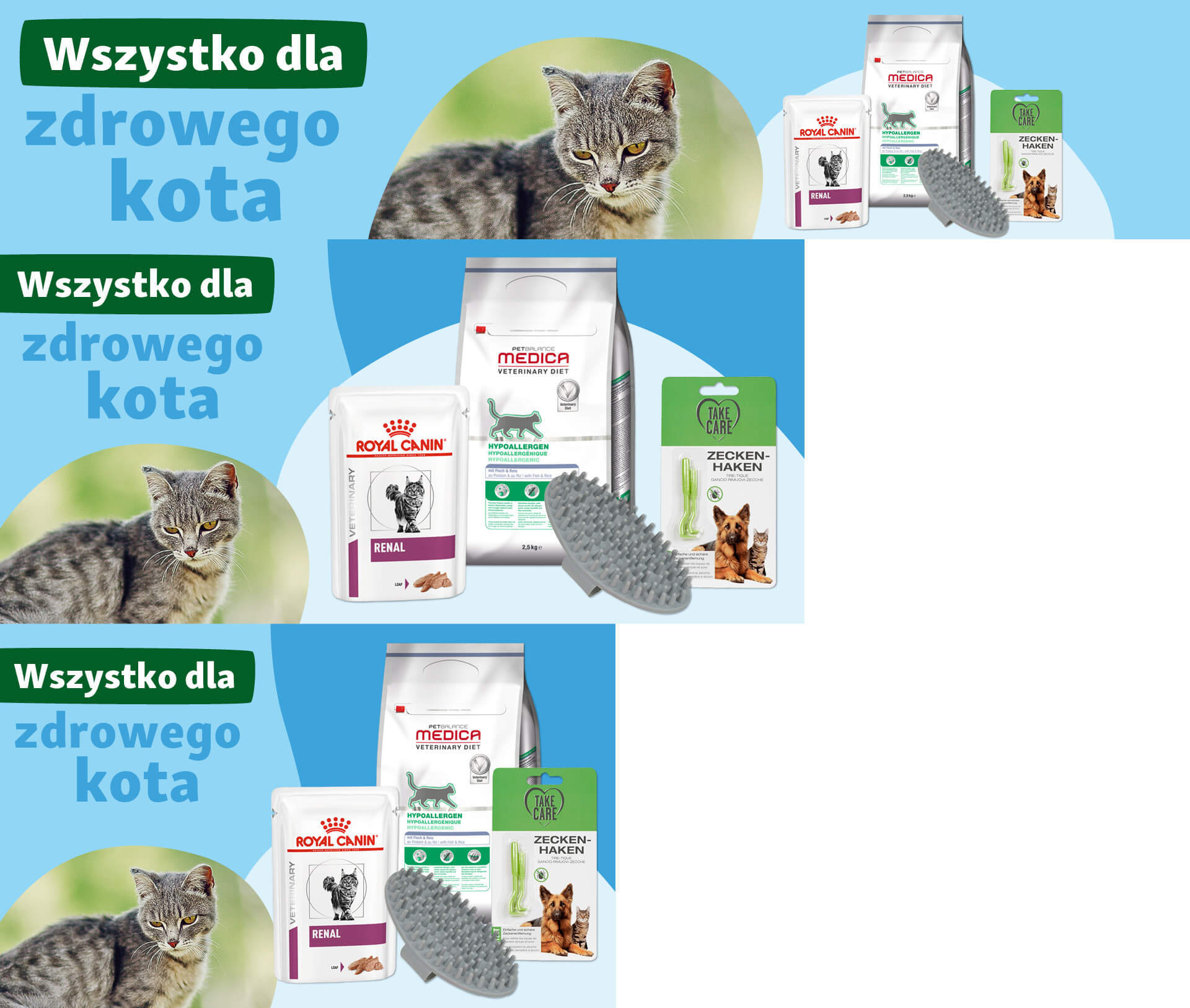 Zdrowy kot z karmą Royal Canin i Medica, haczykiem na kleszcze i szczotką do pielęgnacji kota.