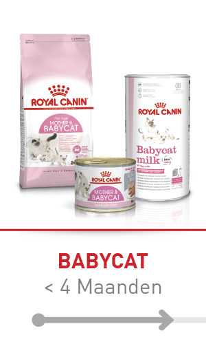 Supermarktrek met diverse hondenvoeding van het merk Premiere in blikjes en zakjes