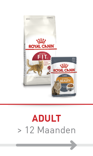 Huisdierverzorgingsproducten in de winkel met hondenborstels, nagelschaar en diverse hondenshampoos in tubes en flessen