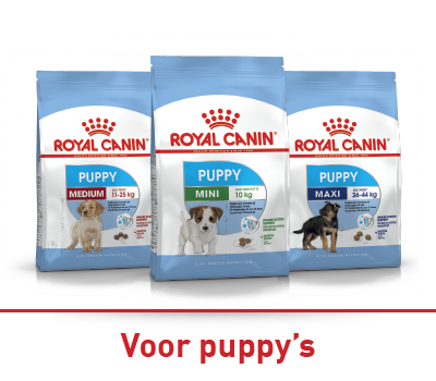 15 Supermarkt schap met Rinti hondenvoer in blik en zakjes, verschillende soorten zoals Kennerfleisch en Senior, goed georganiseerde dierenvoeding