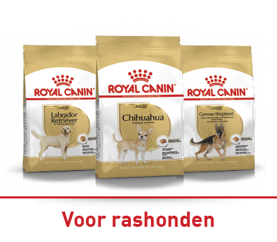 16 Drie Royal Canin hondenvoerzakken voor rashonden: Labrador Retriever, Chihuahua en Duitse Herder.
