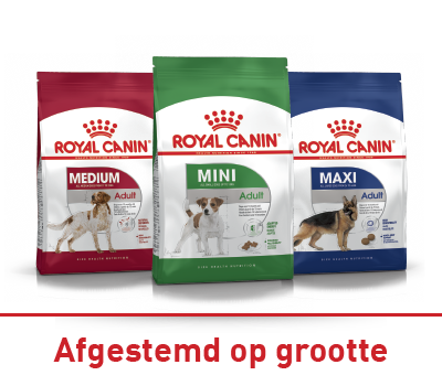 17 Rek met diverse verpakte kauwsnacks voor honden in een dierenwinkel