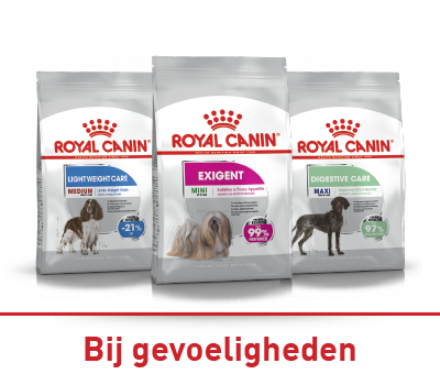 18 Goed georganiseerde dierenwinkelrek met dierenvoer, transportboxen en dierenbedden netjes gerangschikt in een schone winkelomgeving.