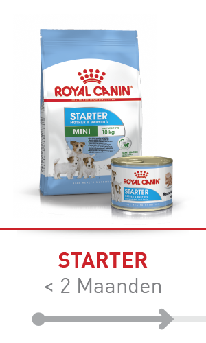 21 Diverse huisdiervervoersboxen en reiswaarschuwing accessoires in een dierenwinkel