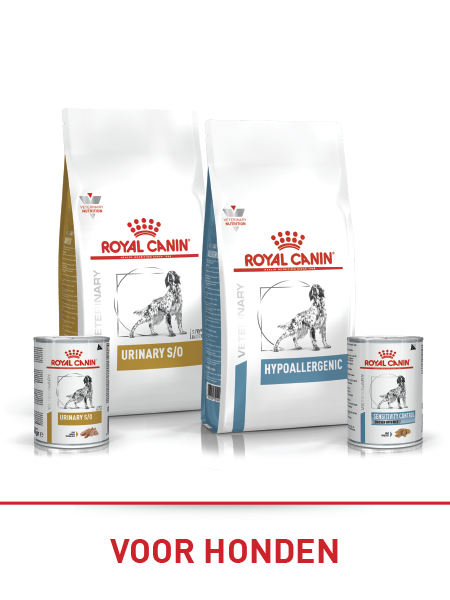 Supermarktrek met diverse merken en soorten hoogwaardige hondenvoeding, waaronder Wilderness en Pure Original, met de nadruk op natuurlijke ingrediënten en 70 % vers vlees.