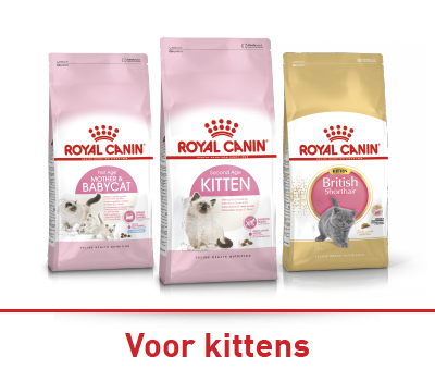 Royal Canin kattenvoer voor moederkatten en babykatten, kittens tweede leeftijd en British Shorthair kittens