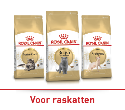 Open wormtestkit van Doktor Maxi Zoo met drie monstercontainers, houten stokjes en gedetailleerde instructies voor activering, monstername en verzending.