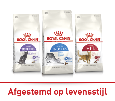 Verkoopwand met diverse verpakte gedroogde hondensnacks en kauwartikelen in een dierenwinkel