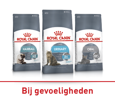 Verschillende huisdierbedden in diverse maten en kleuren netjes gerangschikt in een dierenwinkel