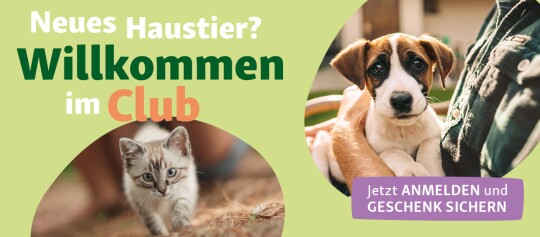 Kleines Kätzchen und Welpe in den Armen einer Person mit dem Text „Neues Haustier? Willkommen im Club. Jetzt anmelden und Geschenk sichern.“