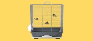 Transport-Zubehör für Vögel