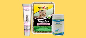 Nahrungsergänzungsmittel für Katzen