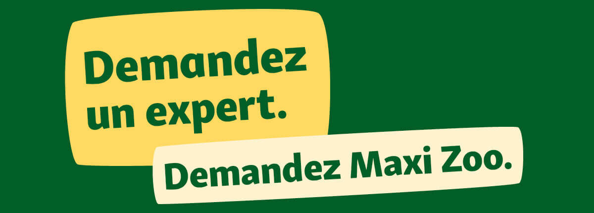 FR_KW8_ExpertCampaign_LB_NL.1200x4301-622b361fe85f8 Demandez un expert. Demandez MaxiZoo