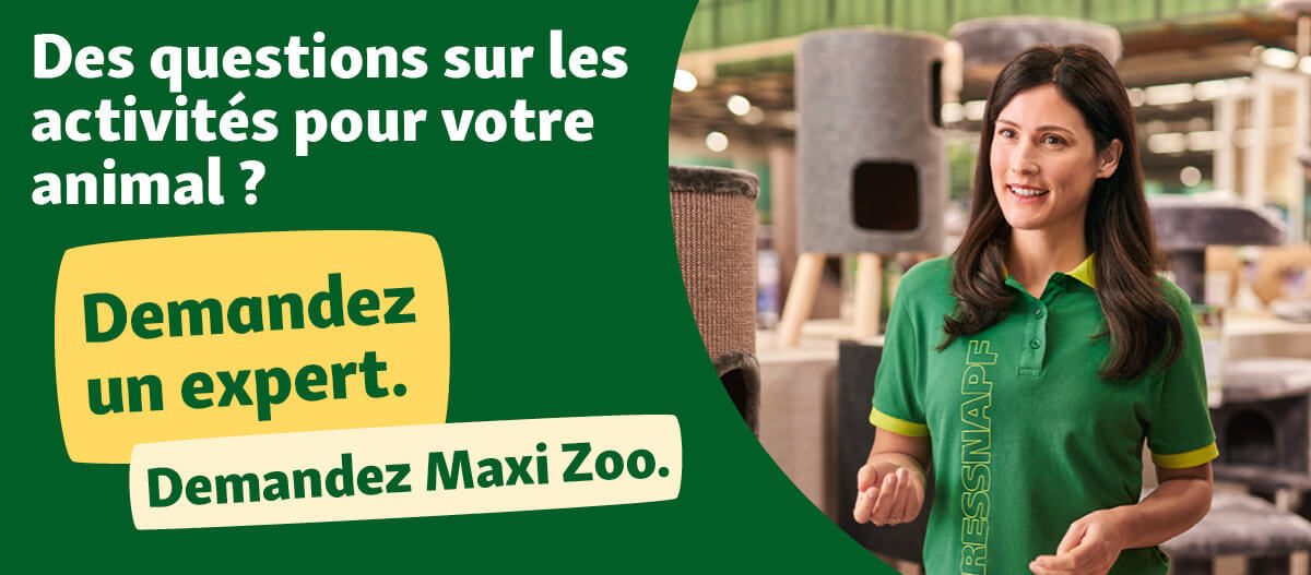 FR_KW8_ExpertCampaign_LB_NL.Full_4 Des questions sur les activités pour votre animal?