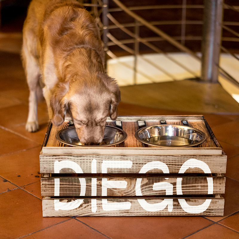 MicrosoftTeams-image (24) DIY Bar for dogs