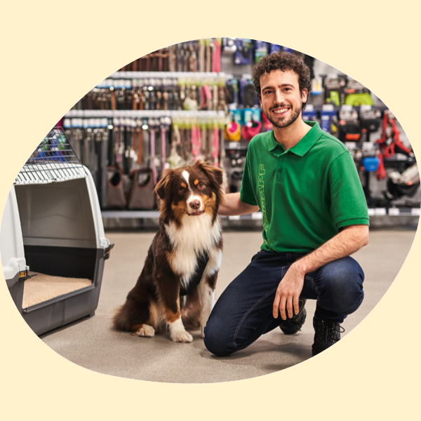 Mann in grünem Poloshirt kniet neben braun-weißem Hund in einem Zoofachgeschäft mit Haustierbedarf im Hintergrund.