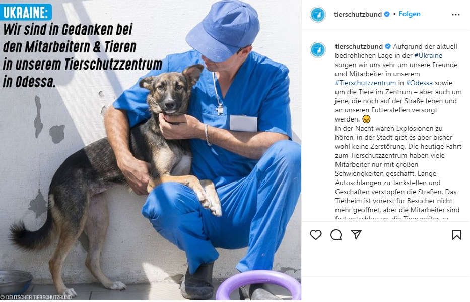Post vom Deutschen Tierschutzbund zur Ukraine Situation