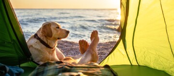 Entspannter Campingurlaub am Meer mit Hund und Sonnenuntergang am Strand